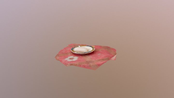 Plate and Soap 3D Model