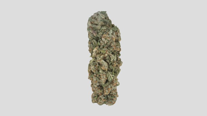 Weed Scan Bud By Roi 3D Model