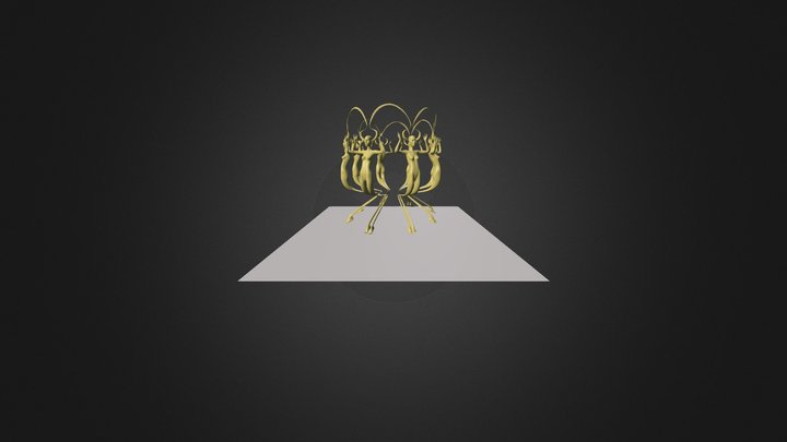 Lacop 3D Model