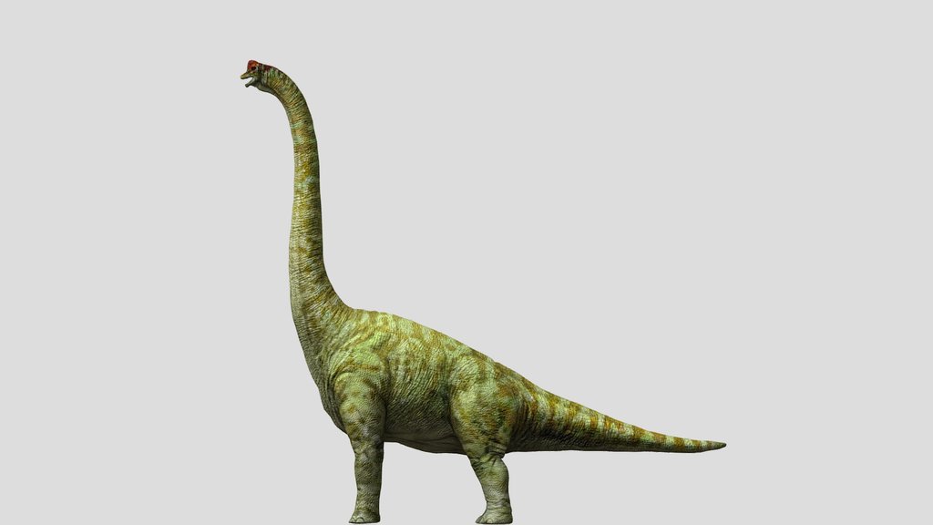 DracoWarrior's Male Brachiosaurus