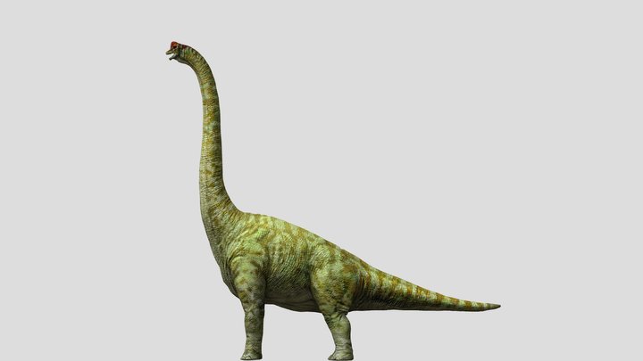 DracoWarrior's Male Brachiosaurus – Modello 3D gratuito STL