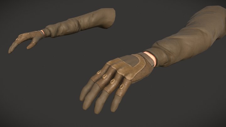 FPS_Arms 3D Model