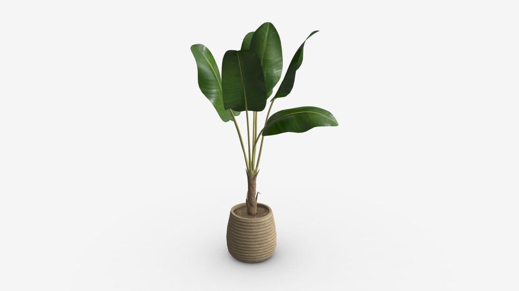 Pots - A 3D model collection by thaotranthi09082000 - Sketchfab