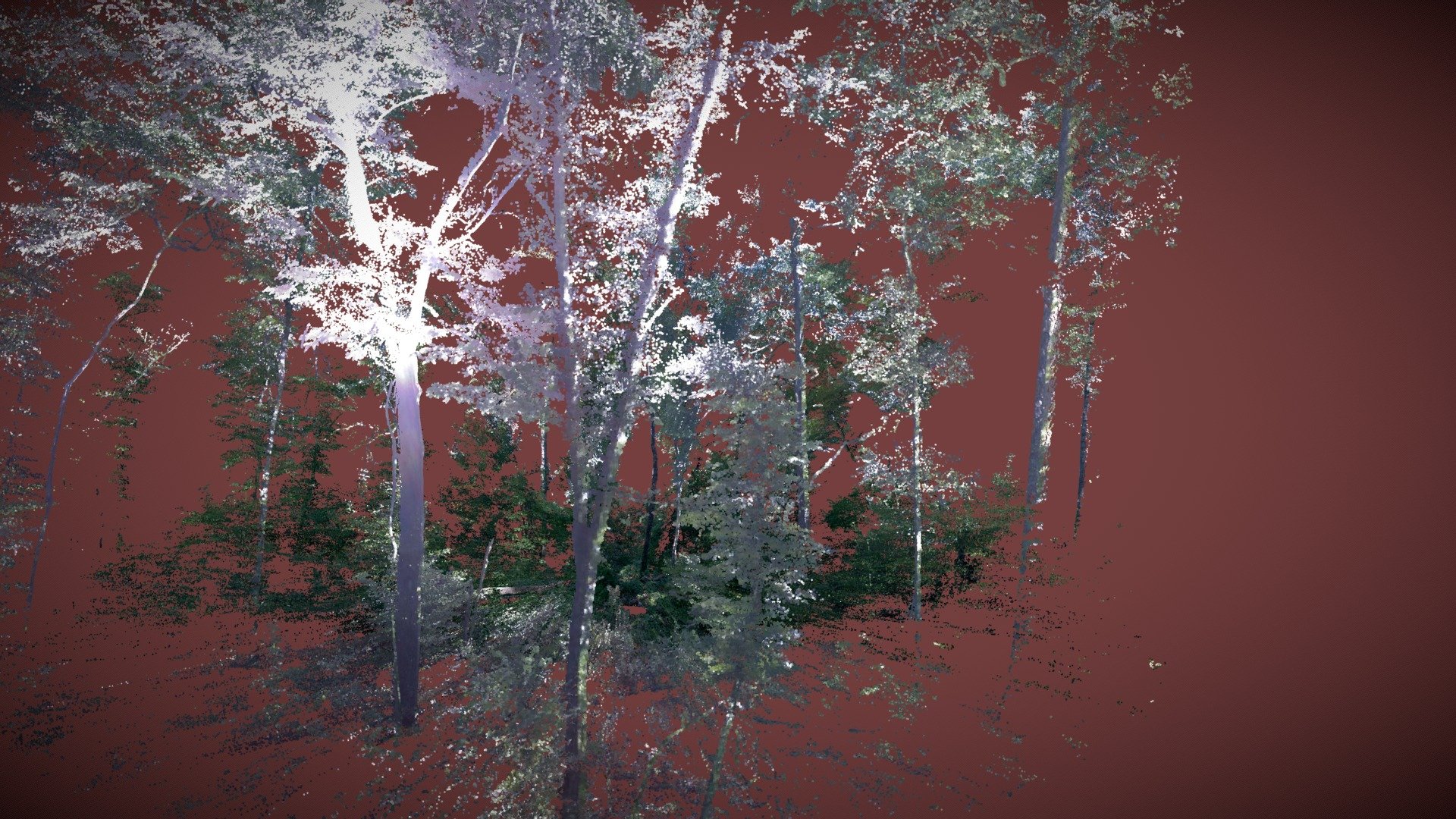 ELSF10360721_cropped