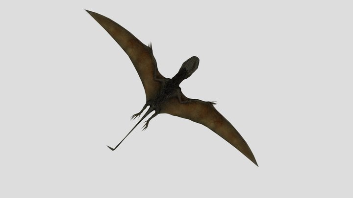 accurate jw Dimorphodon