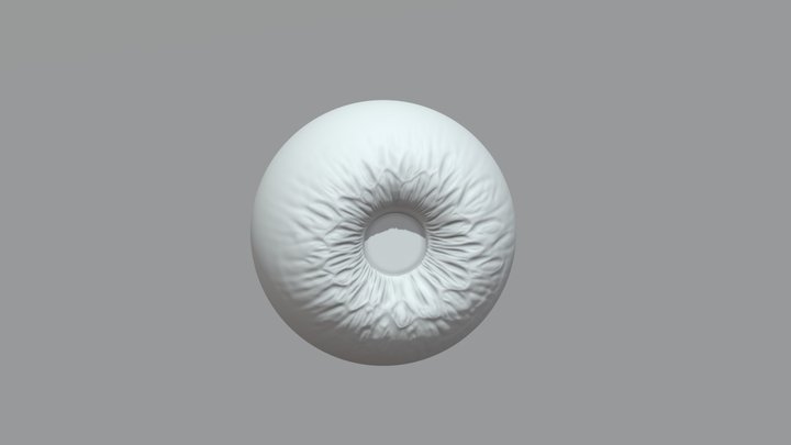 Eyeball 3D Model