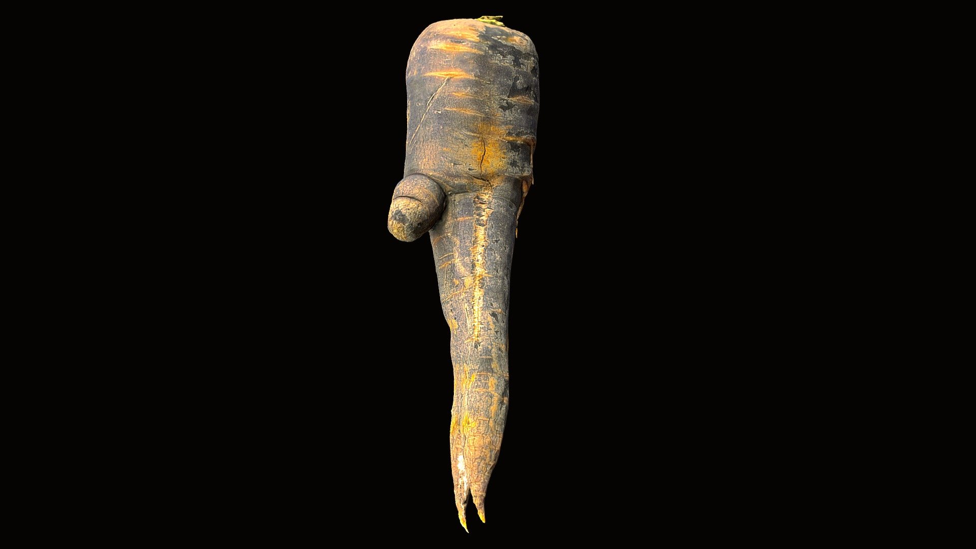 Mandrake Carrot 2 - 3D model by squeakingcat [03bc83f] - Sketchfab