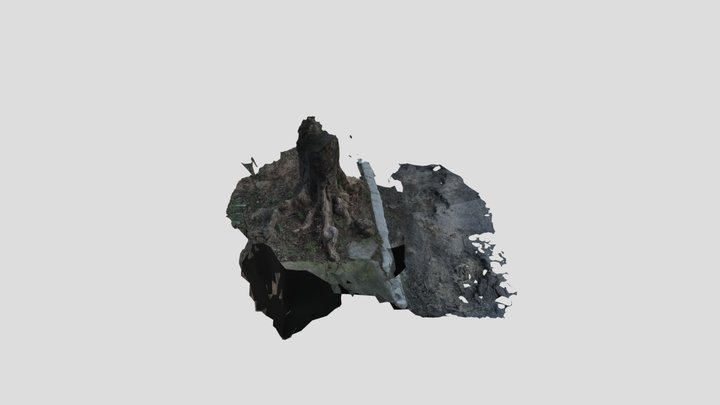 Tronco Original 3D Model