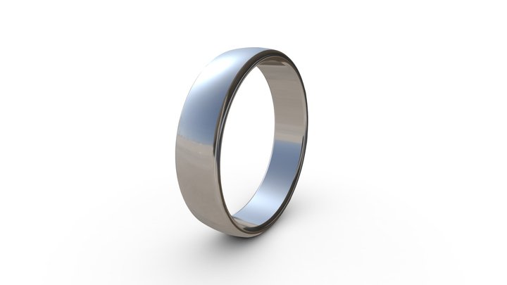 Simple Ring 3D Model