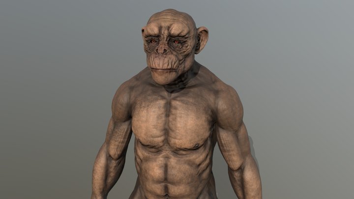 BaldChimp 3D Model
