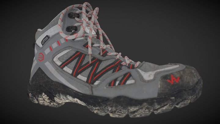 Wanabee_Shoe_Photogrammetry 3D Model