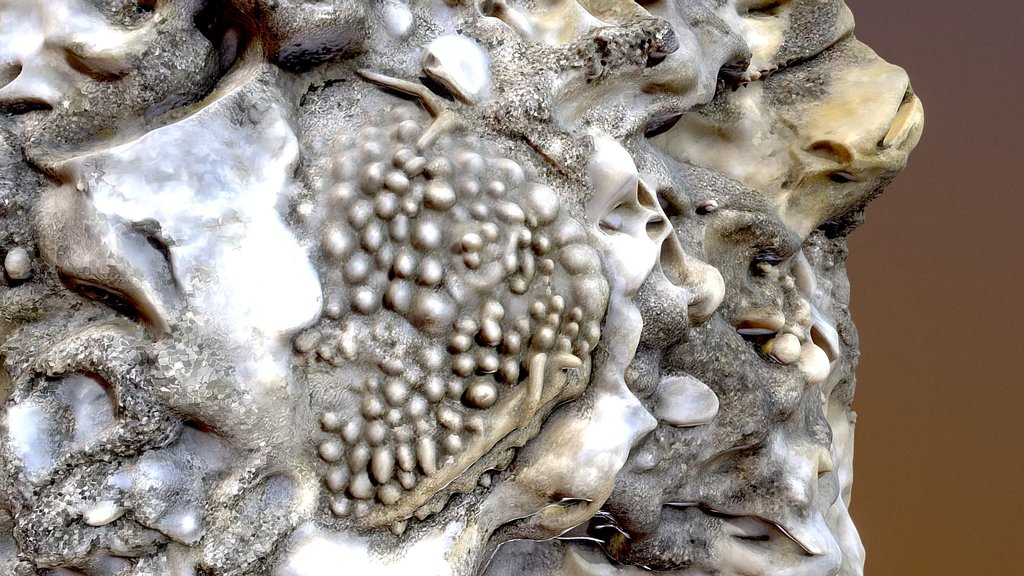 Ooidal limestone texture