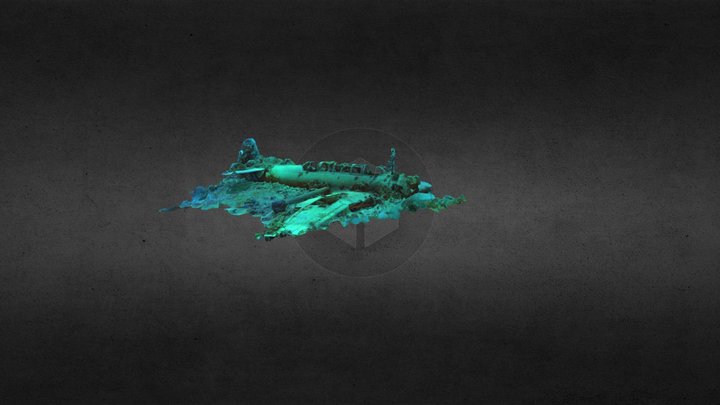 C6N Myrt 3D Model