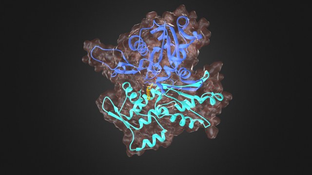 Actin - Globular Subunit 3D Model