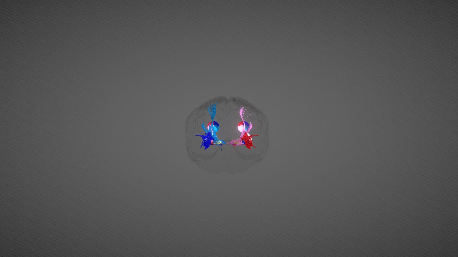 Visual System Tracts — Sketchfab embed 3D viewer