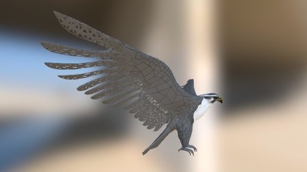 Peregrine360 3D Model