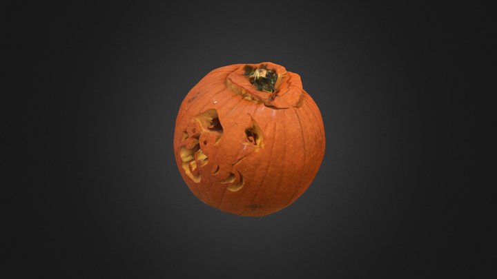 Pumpkin 14 3D Model