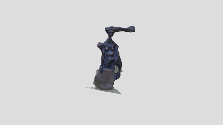 Acollidora 3D Model