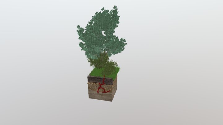 Baum-Humus-Kreis/Tree soil circularity 3D Model