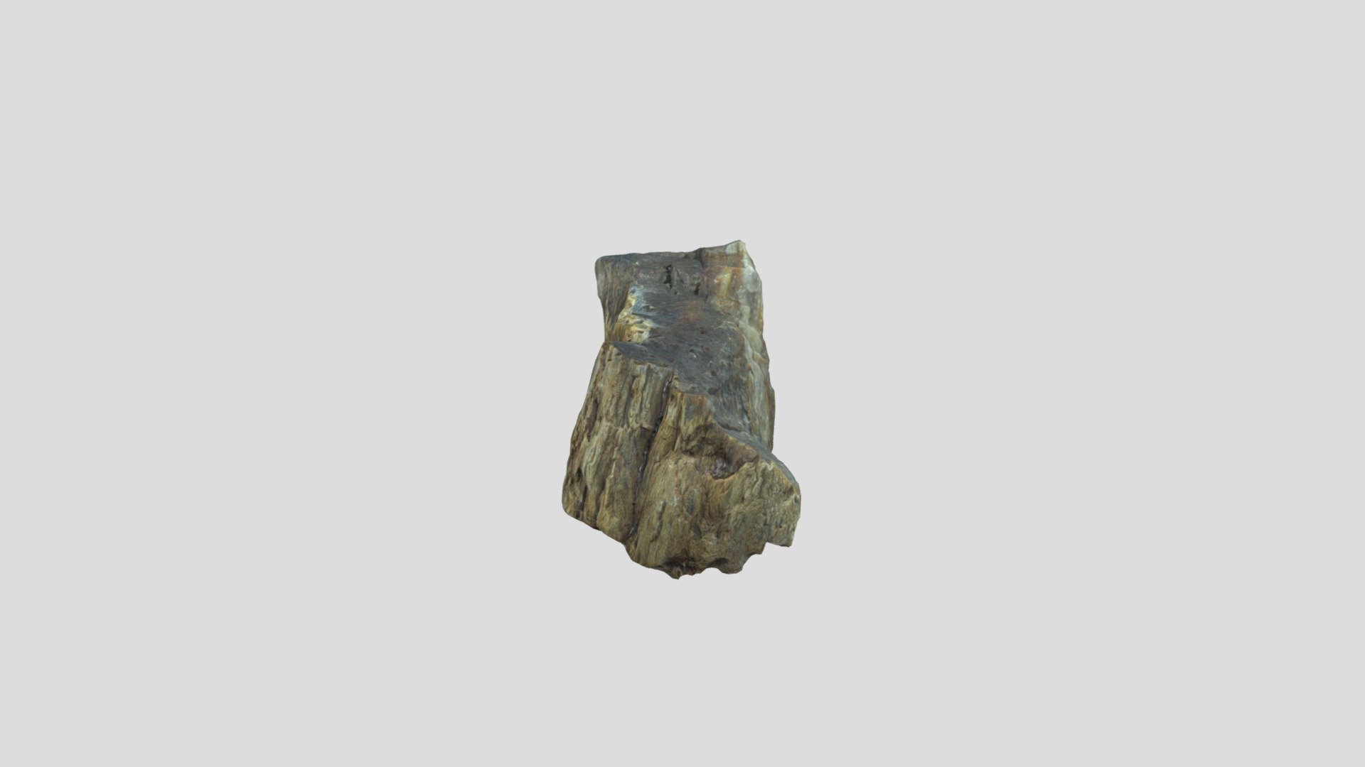 Petrified Wood Rock