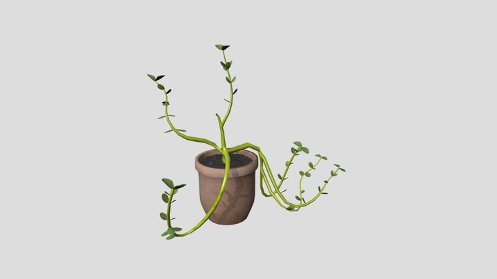 Plant 3D Model