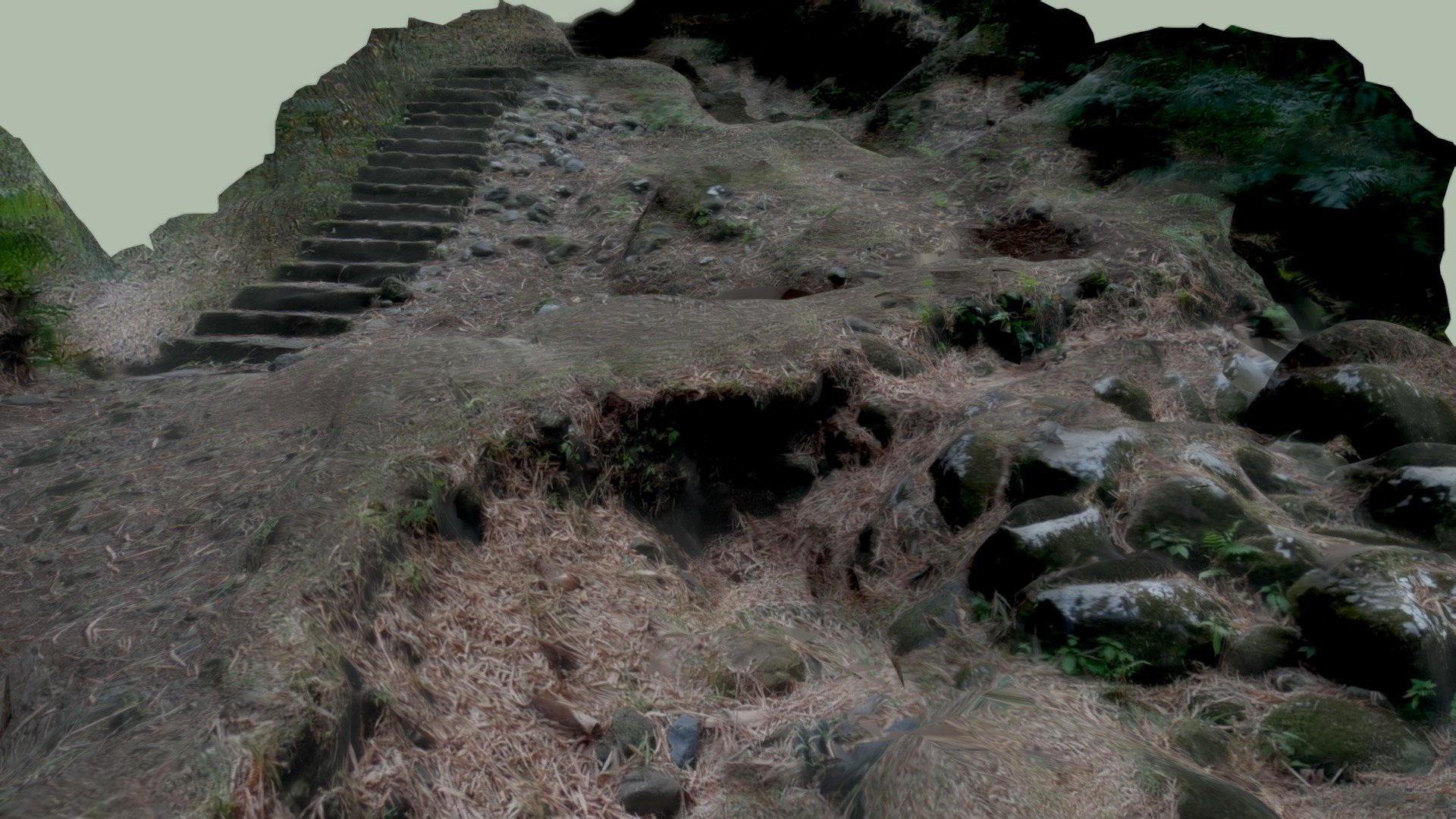Nature stairway (photogrammetry)