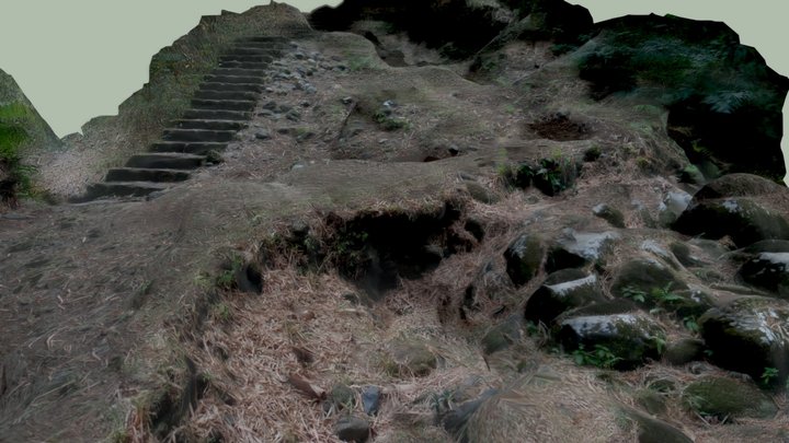 Nature stairway (photogrammetry) 3D Model