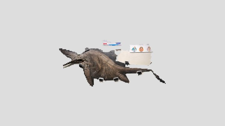 New Model 3D Model