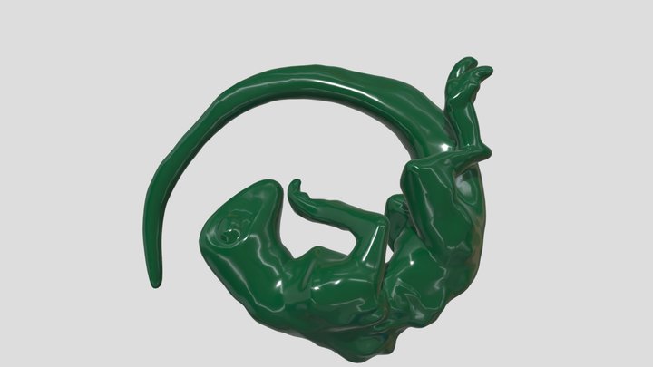 embryo