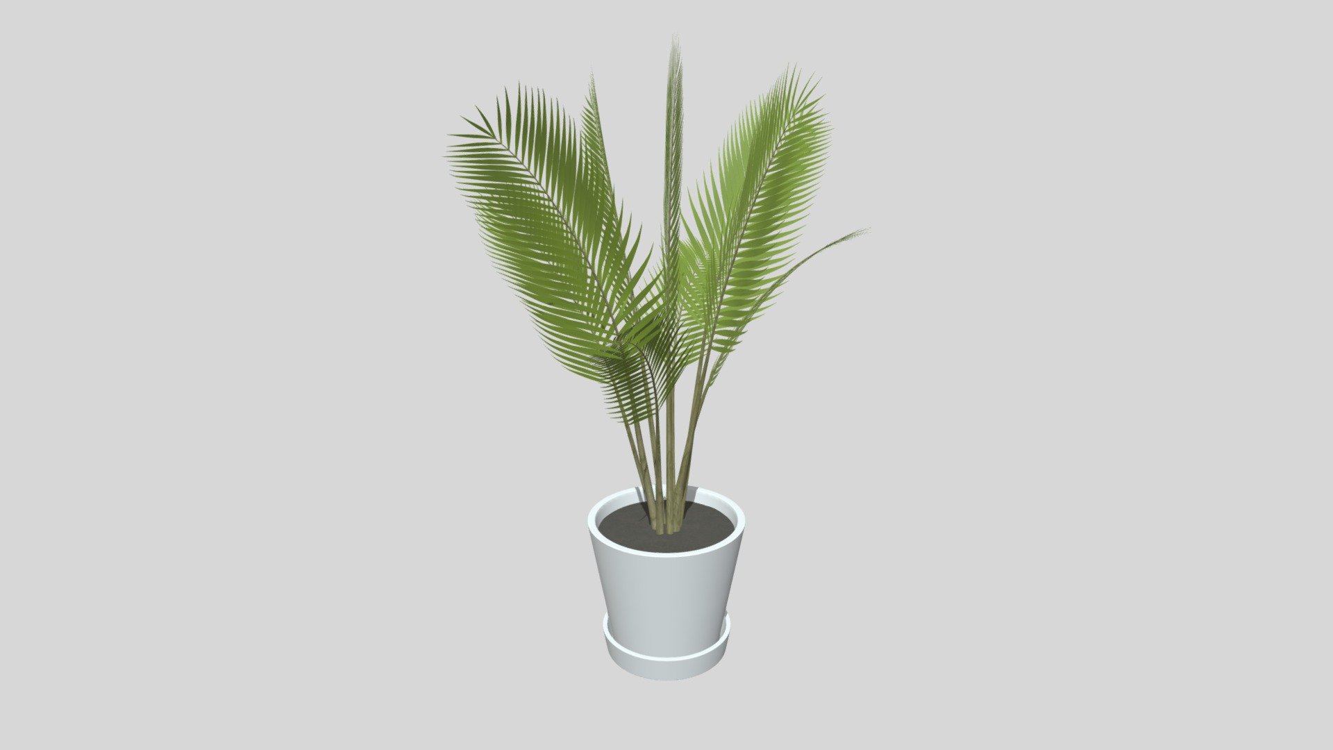 Potted Areca Palm Plant - Buy Royalty Free 3d Model By Mr. Adams 