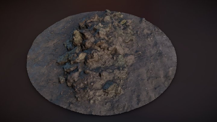 Dirt Pile - Photoscan (Optimized) – Free 3D Model STL