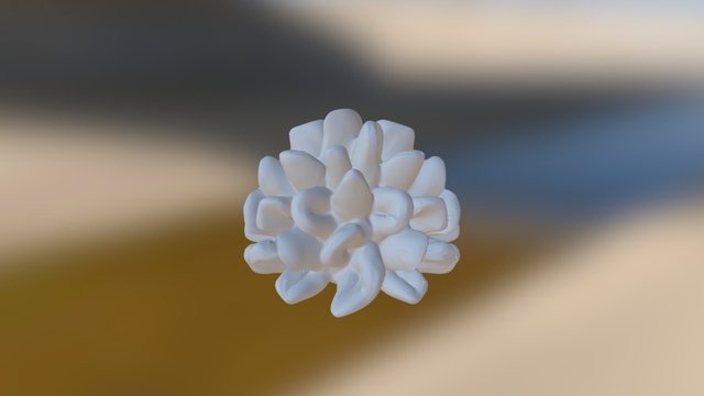 Cauliflower Coral Model 3D Model