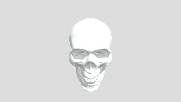 Skull-downloadable 3D Model