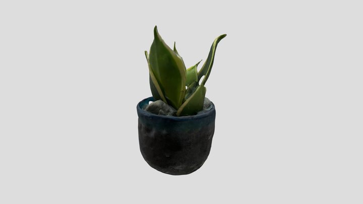 Planta Scan 3D Model