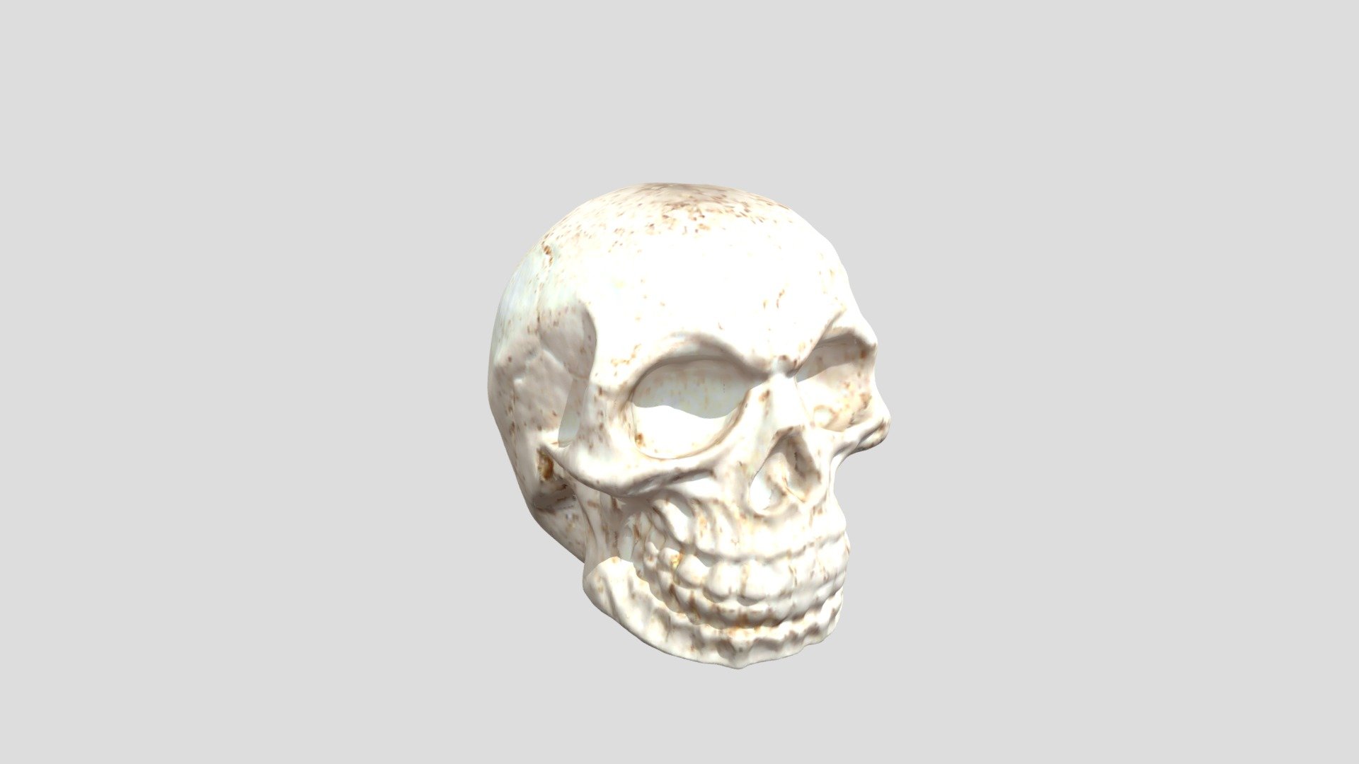 Scan of Skull