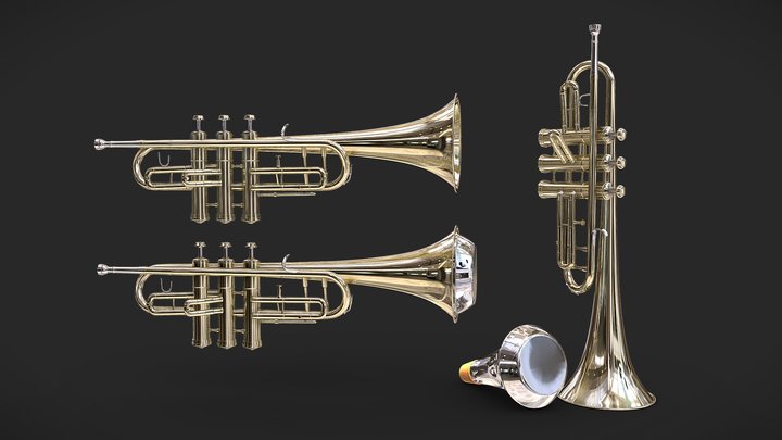 Trumpet with Damper 3D Model
