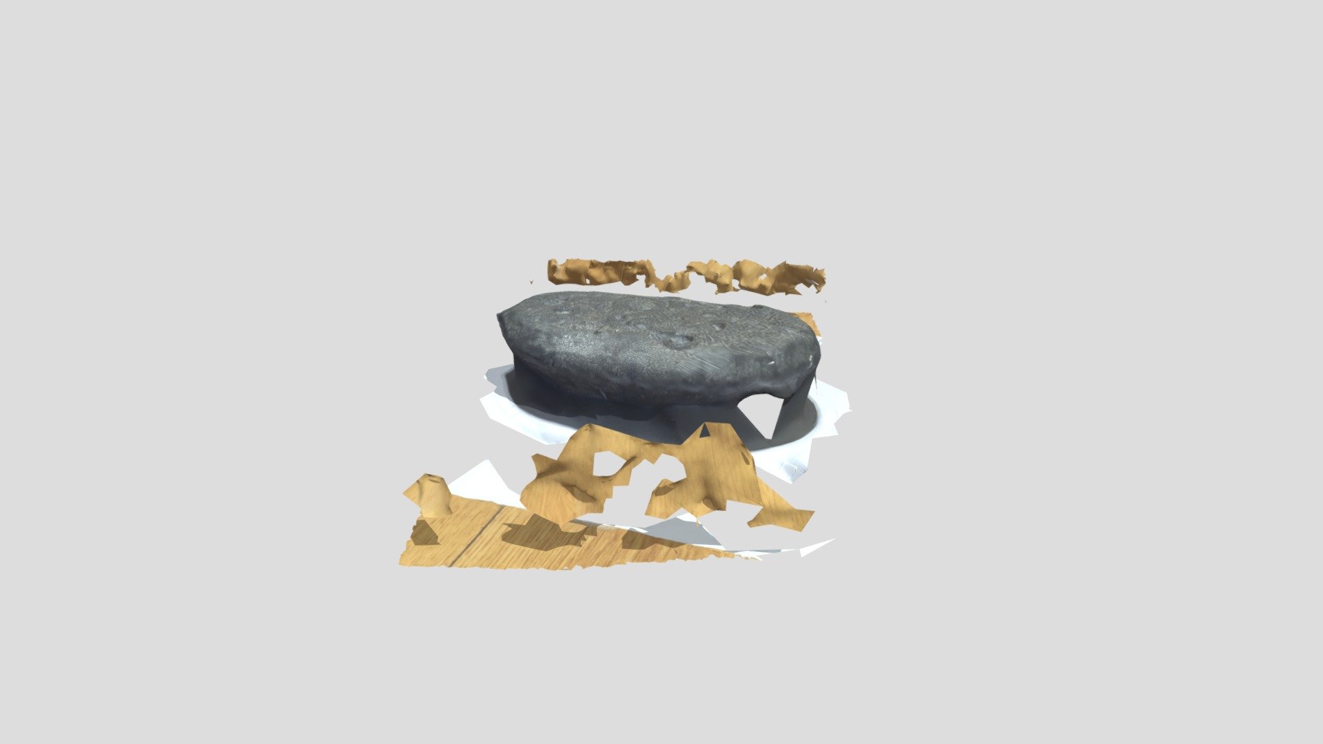 Ammonite Assemblage Unscaled