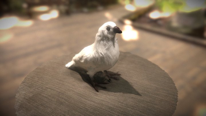 Burb 3D Model