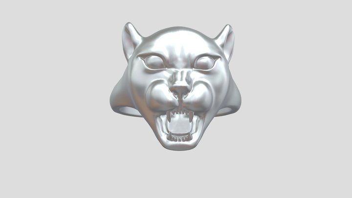 Ring 3D Model