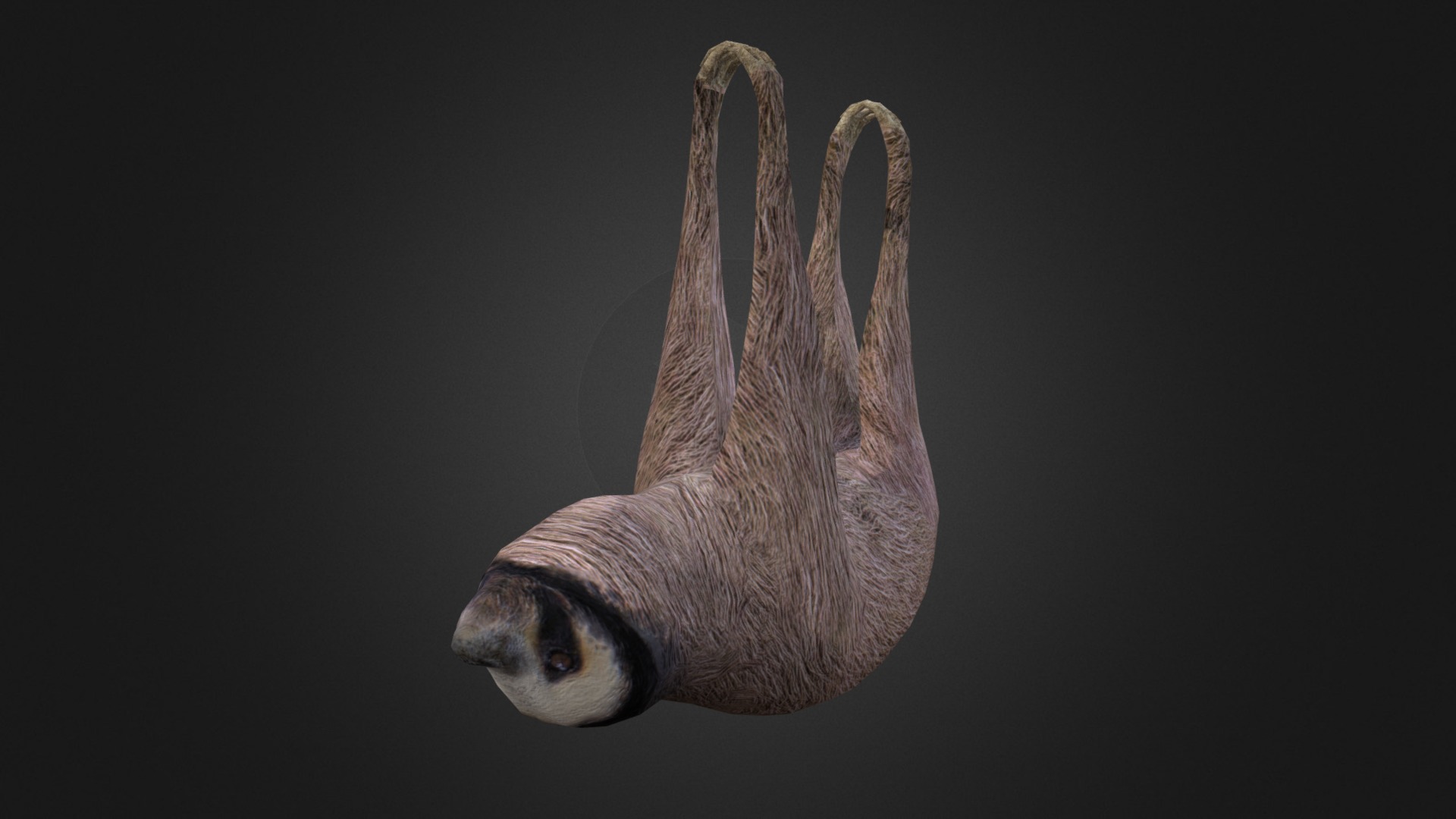 3D model Sloth - This is a 3D model of the Sloth. The 3D model is about a fish with long scales.