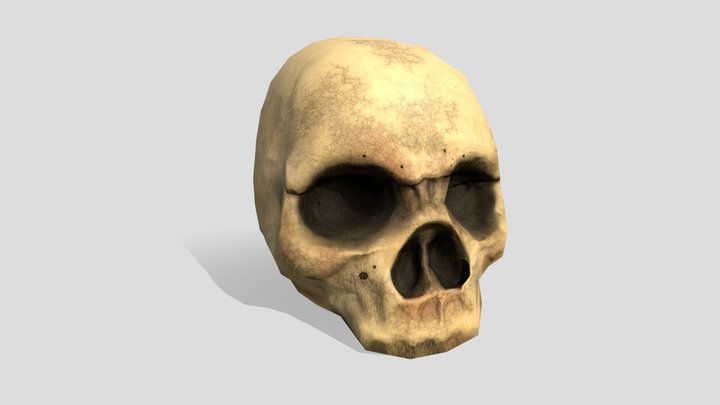 Skull head - low poly 3D Model