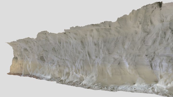 Cave Entrance Wall Scan 3D Model