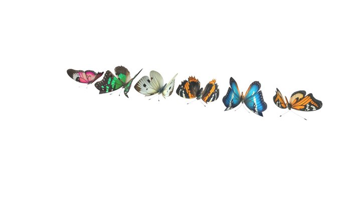 Butterlies 3D models - Sketchfab