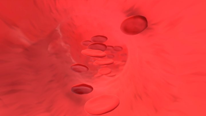 Blood 3D Model
