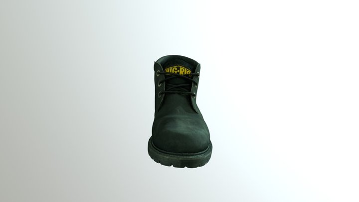 Big Rig Scanneed Shoes 3D Model