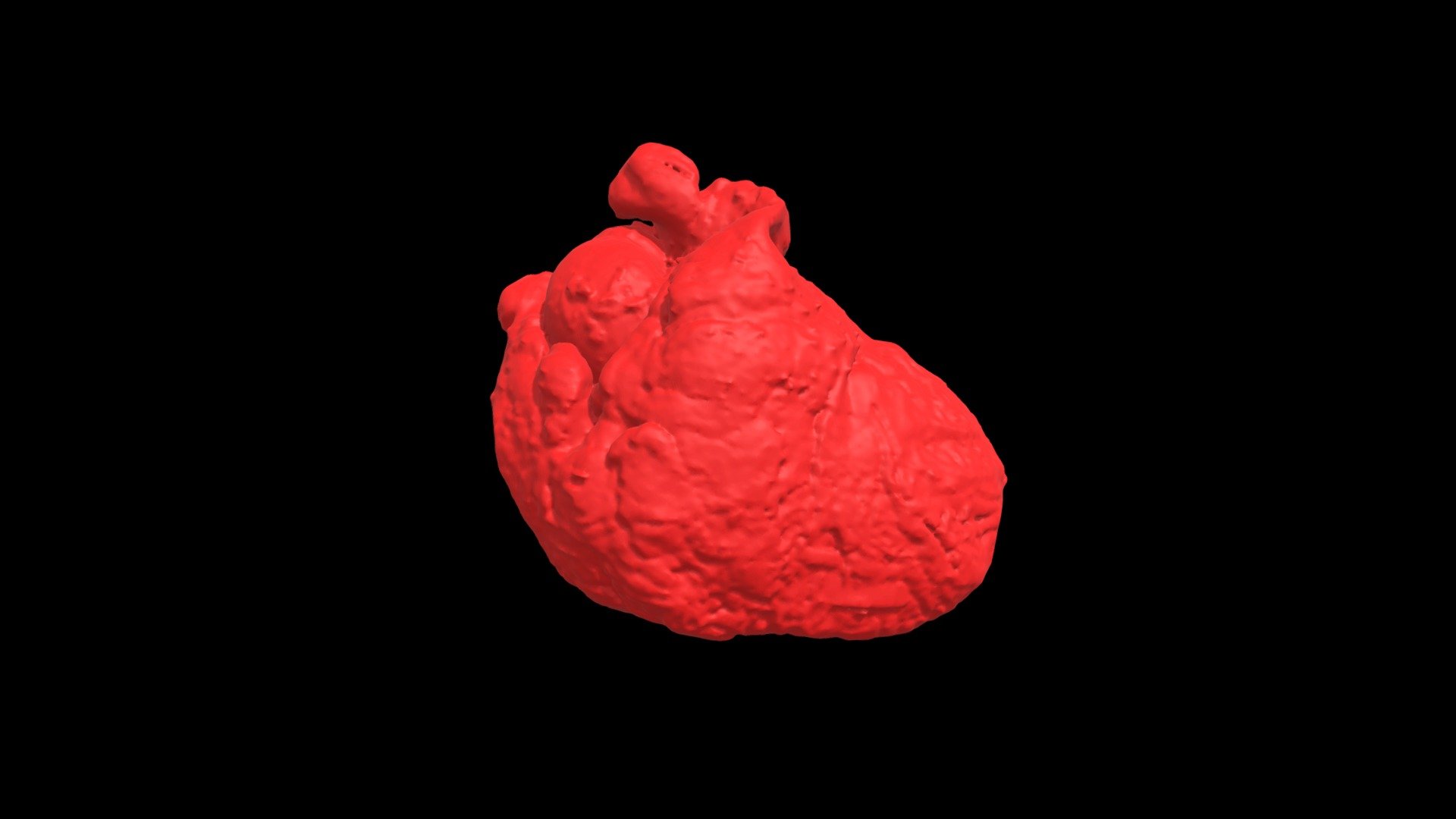 Atrial Fibrillation -Heart 0317 - Download Free 3D model by ...