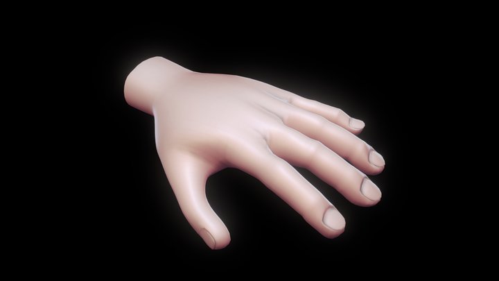 Hand High / Perfect  Topology 3D Model