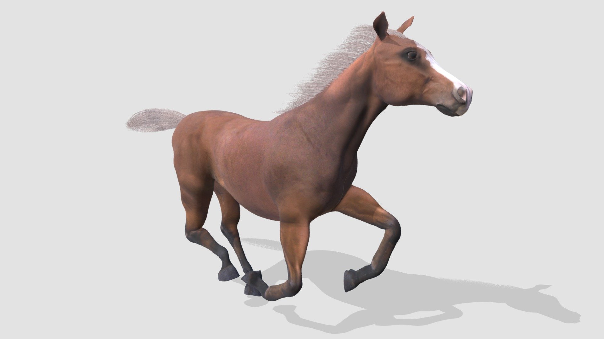 horse - Buy Royalty Free 3D model by Evermotion [03f6625] - Sketchfab Store