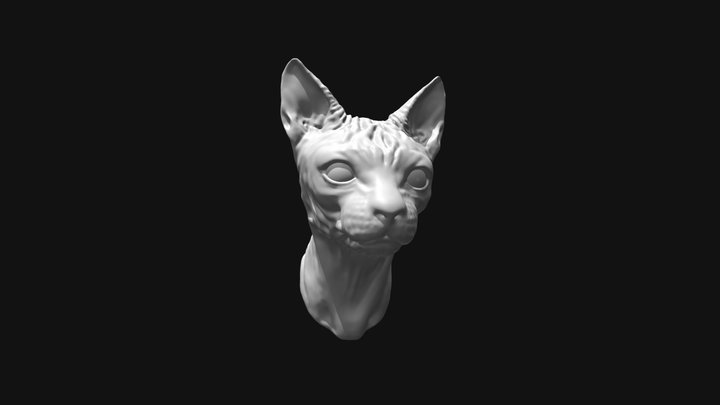 Sphynx 3D Model