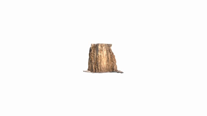 [100K Poly] Pine Tree Stomp 3D Model